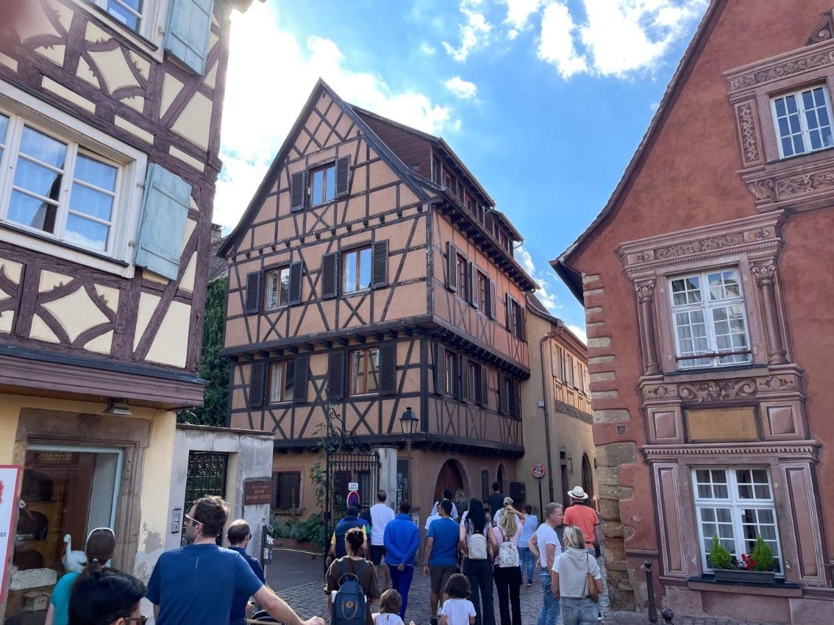 Rive Petite Venise Appartement Luxe - Centre Ville Colmar - Clim, Ascenseur & Possibilite Parking Exterior foto